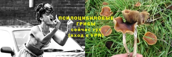 гашиш Арсеньев