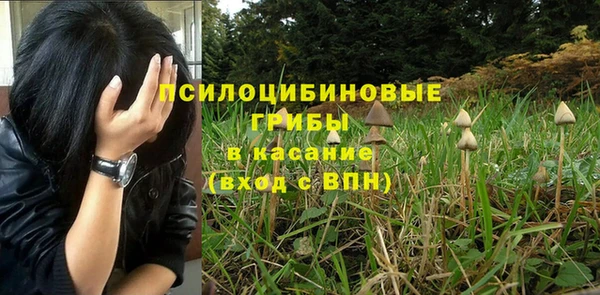 гашиш Арсеньев